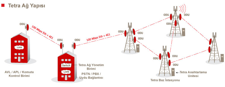 Tetra Network